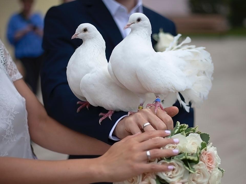 Фото: istockphoto.com