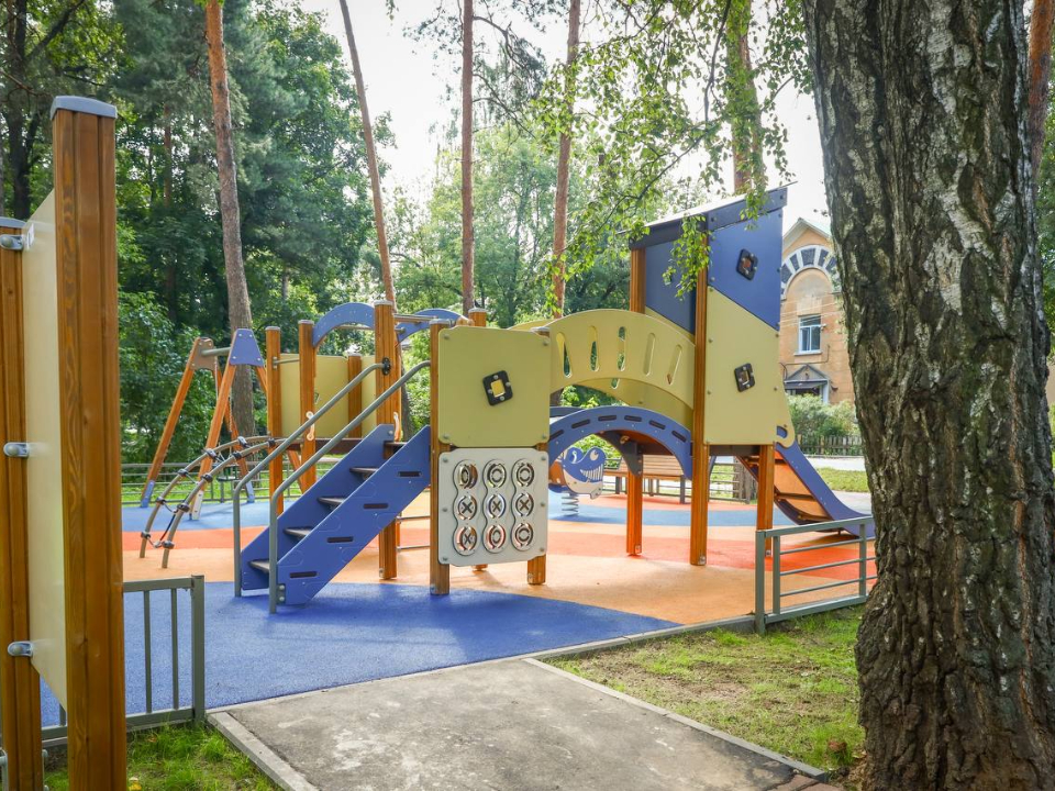 Фото: Раменский медиацентр