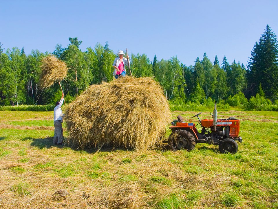 Фото: istockphoto.com