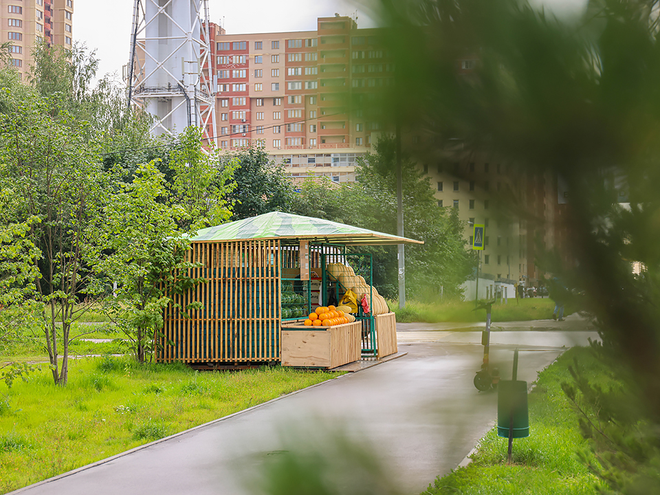 Фото: МедиаБанк Подмосковья/Ксения Казакова