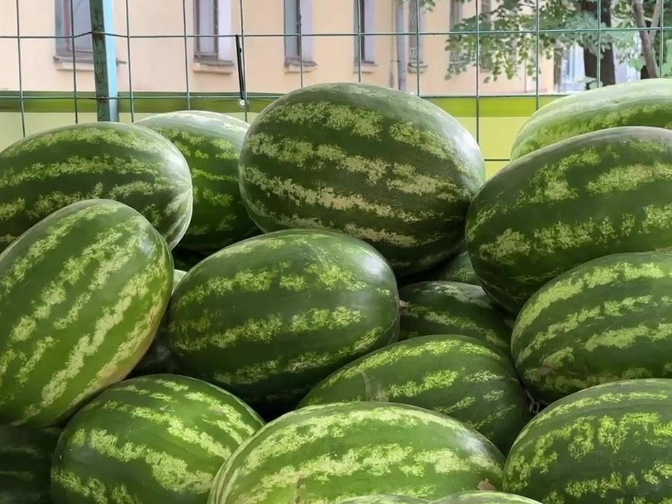 Фото: Ксения Казакова