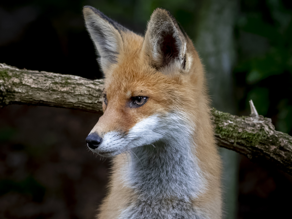   Фото: istockphoto.com