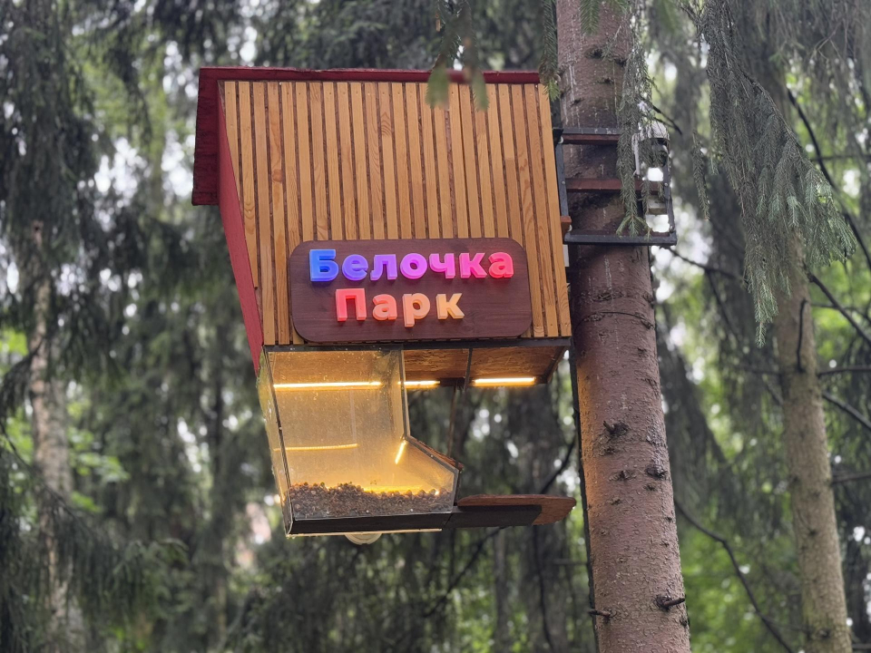 Фото: Виктория Фортуна