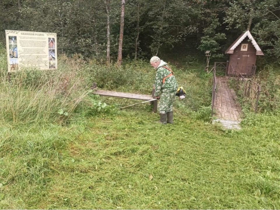 Фото: Комитет лесного хозяйства Московской области