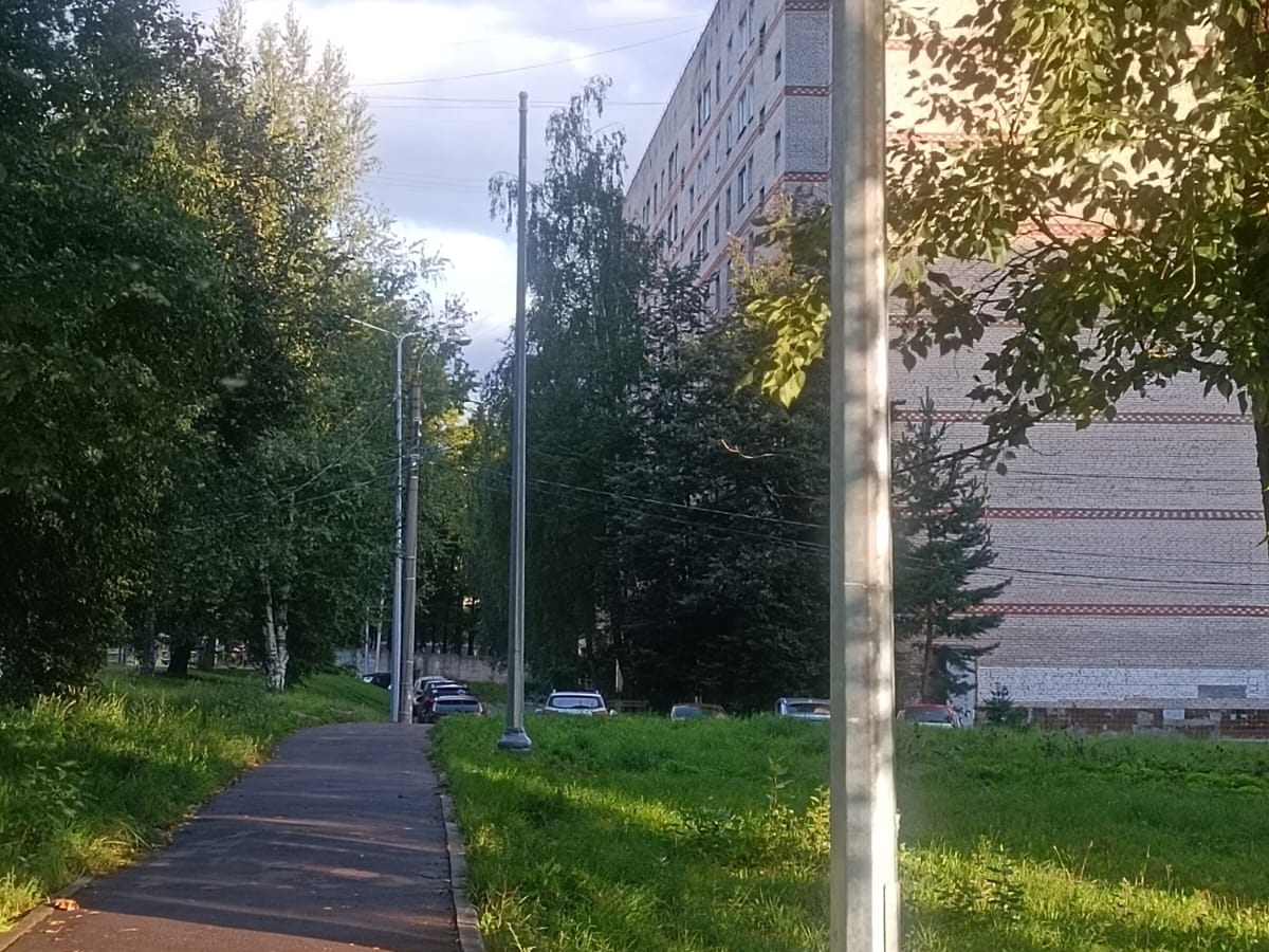 Фото: пресс-служба администрации Наро-Фоминского г.о.          