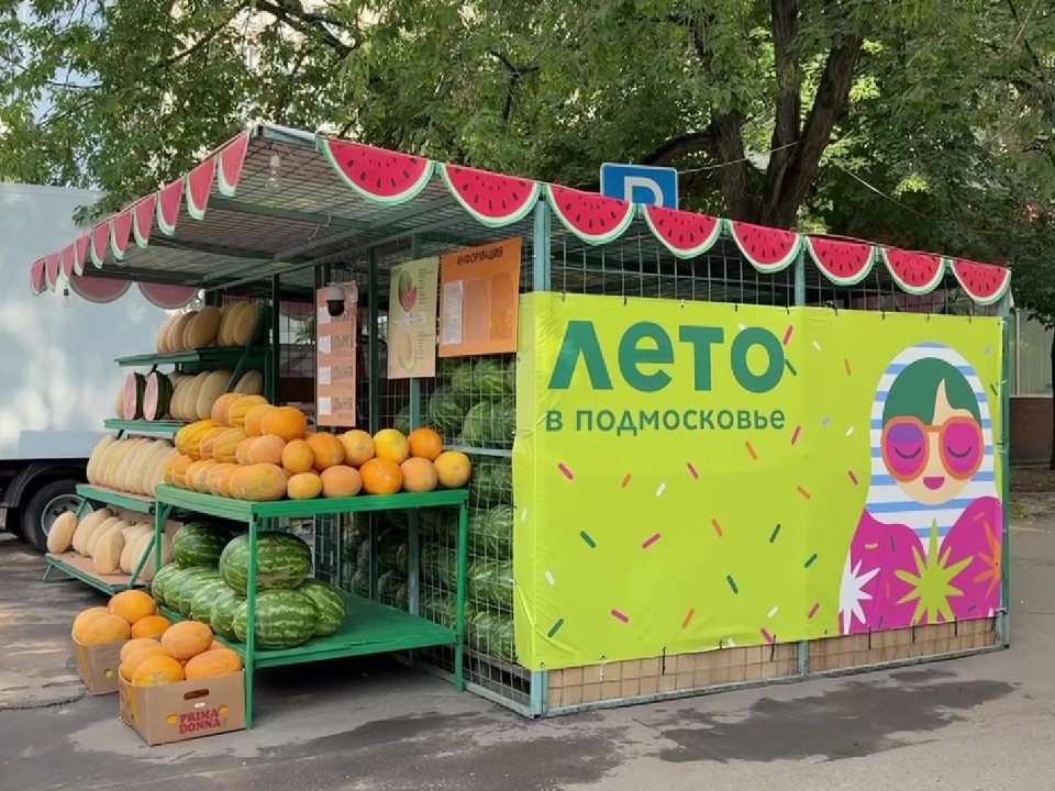 Фото: МедиаБанк Подмосковья/Ксения Казакова