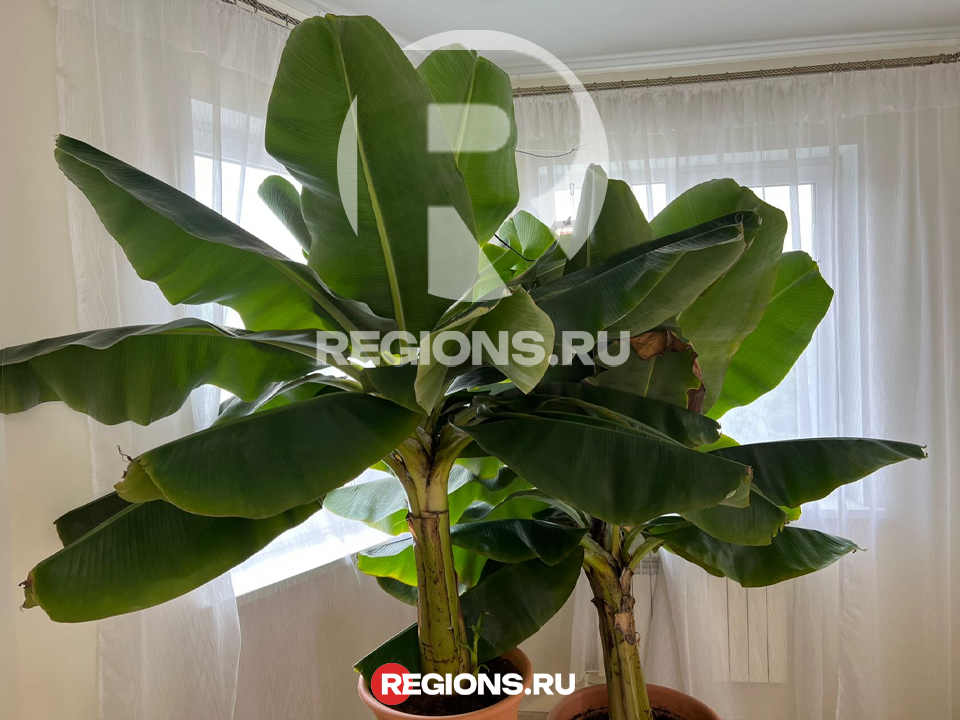 Фото: Светлана Дмитриева