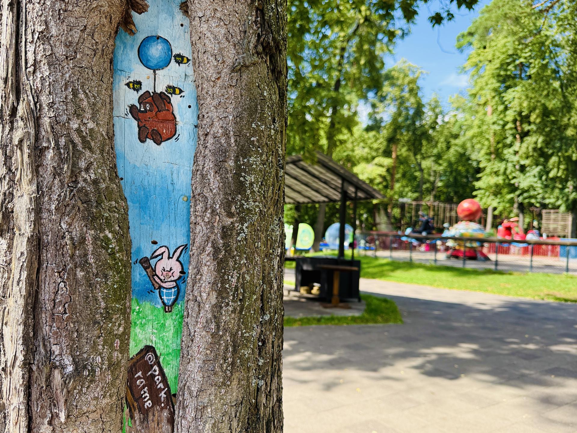 Фото: Ольга Стаферова