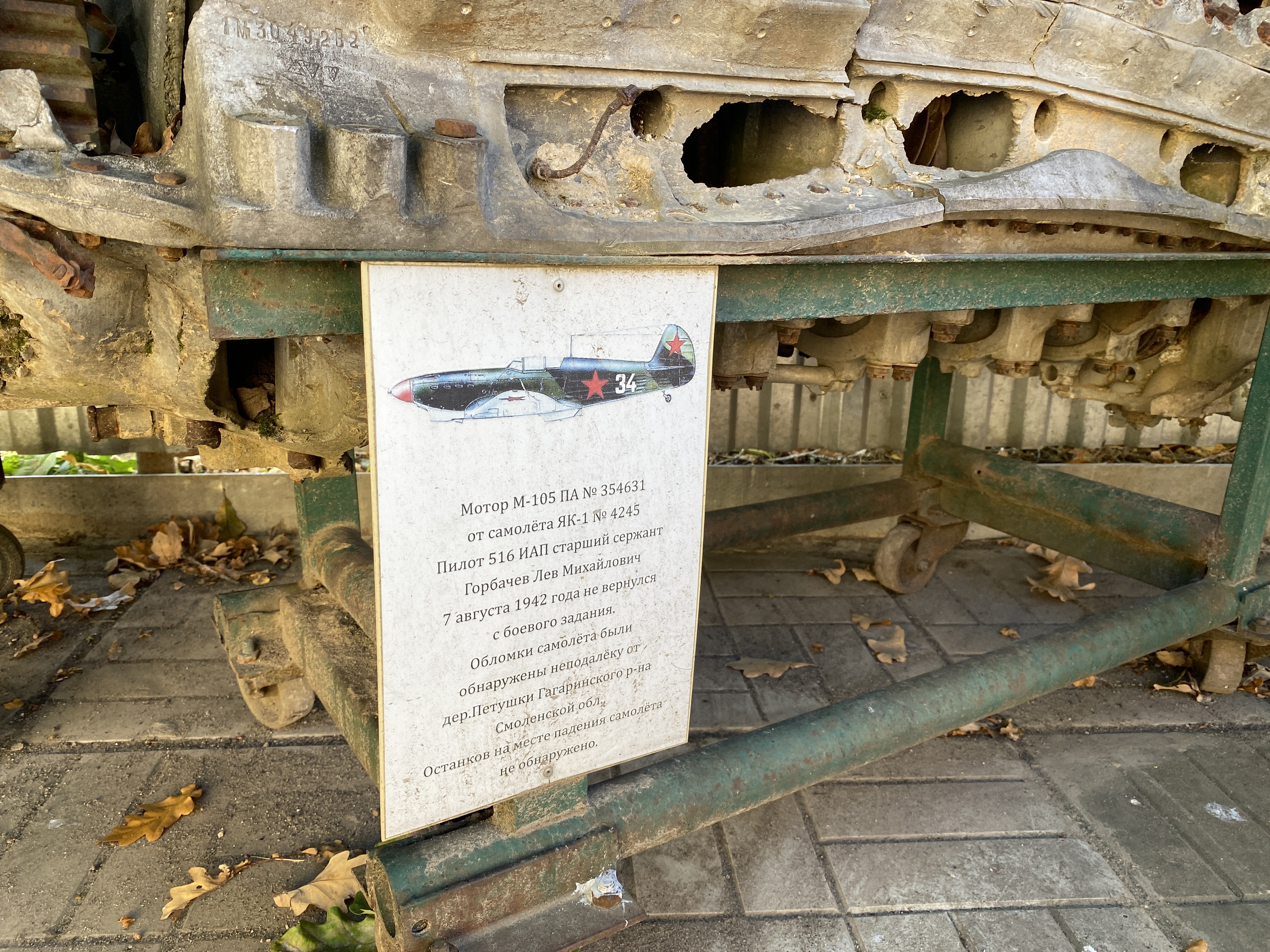 Фото: МедиаБанк Подмосковья/Дарья Шапочкина