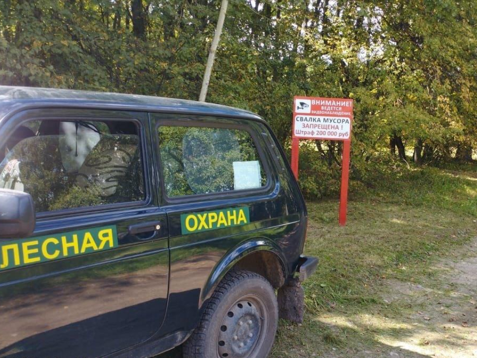 Фото: Комитет лесного хозяйства МО