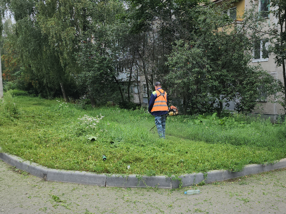 Фото: МедиаБанк Подмосковья/Александр Степушкин