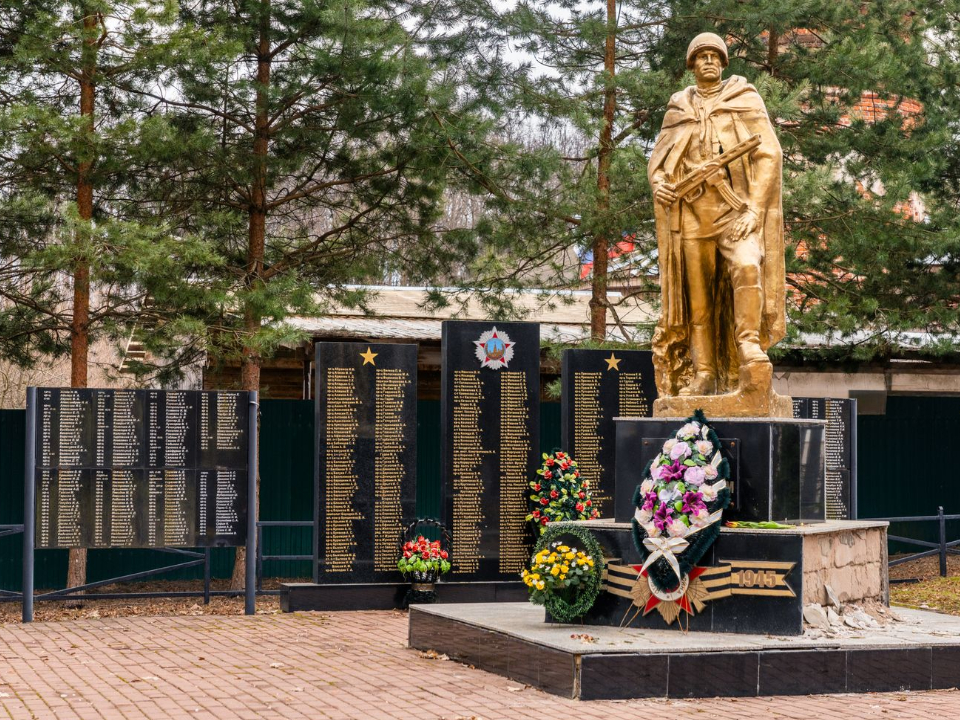 Фото: медиасток.рф