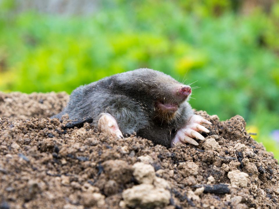 Фото: istockphoto.com