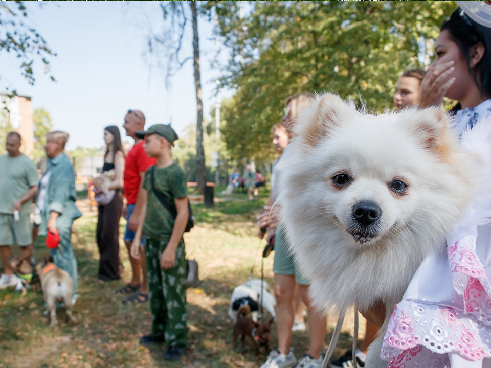 Фото: Юрий Котов