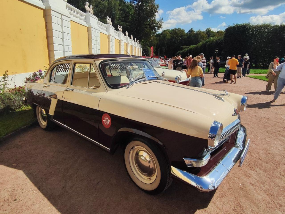 Фото: пресс-служба администрации г.о. Красногорск