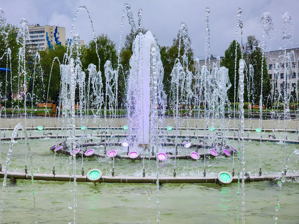 Фото: МедиаБанк Подмосковья/ Мария Андрюхина