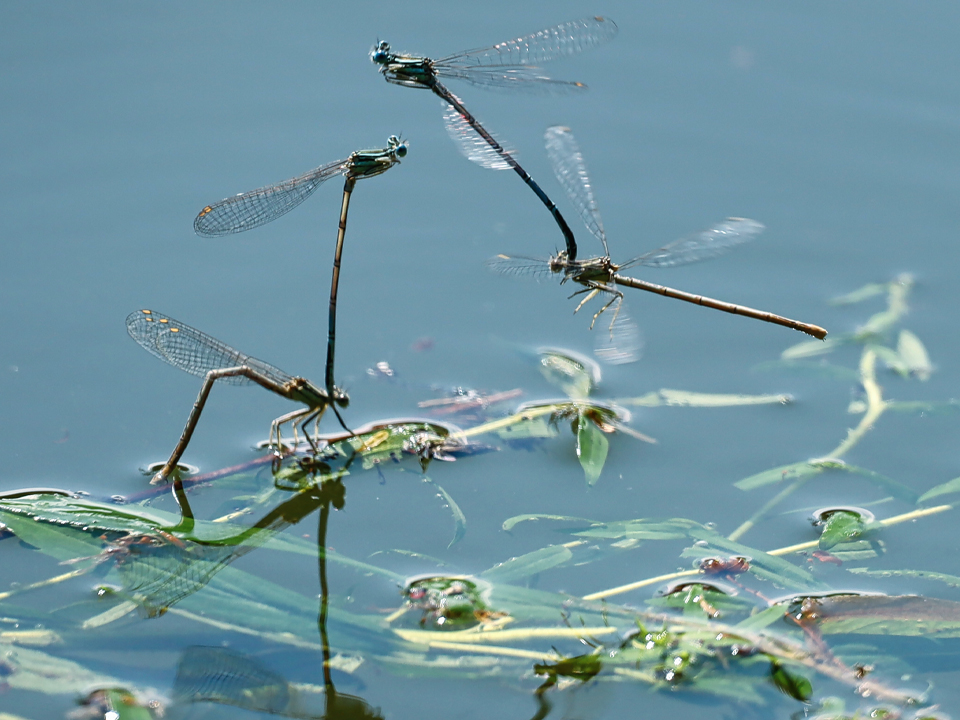Фото: istockphoto.com