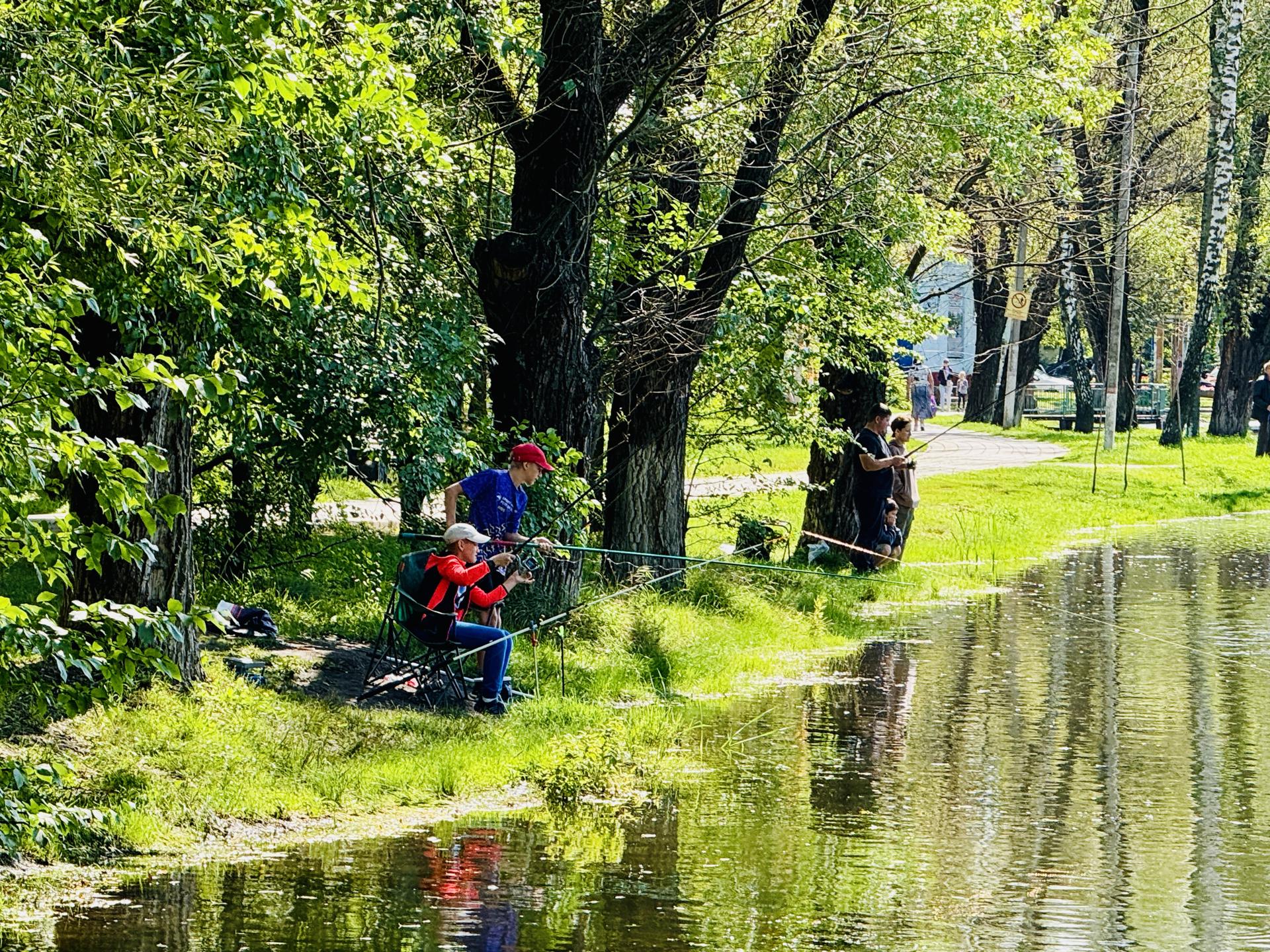 Фото: Ольга Стаферова