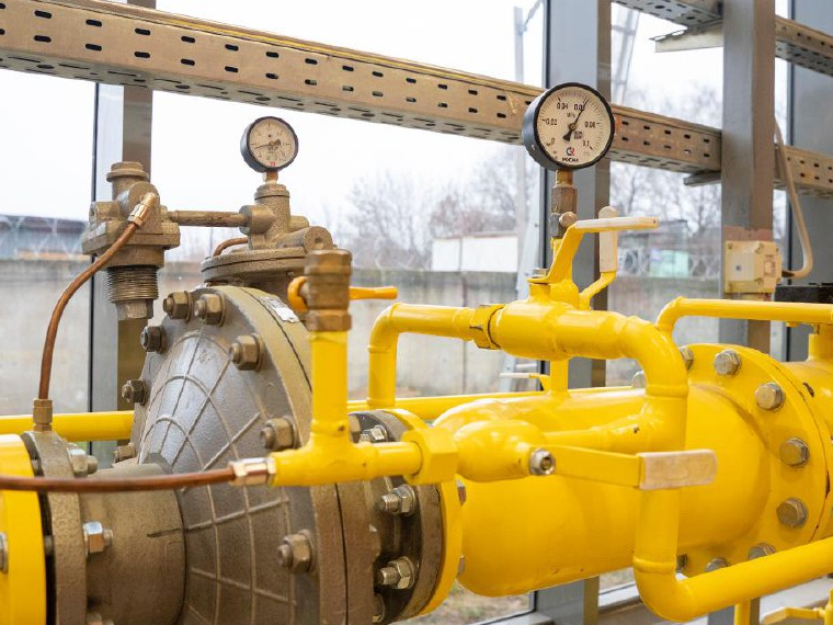 Фото: пресс-служба губернатора и правительства Московской области