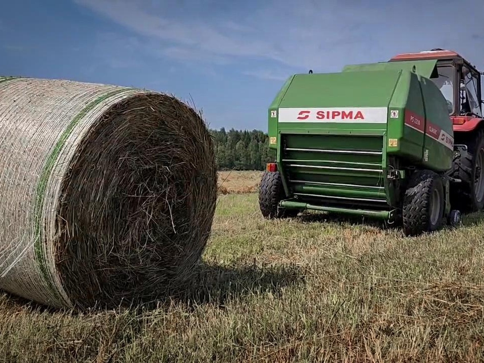 Фото: Ольга Антонова 