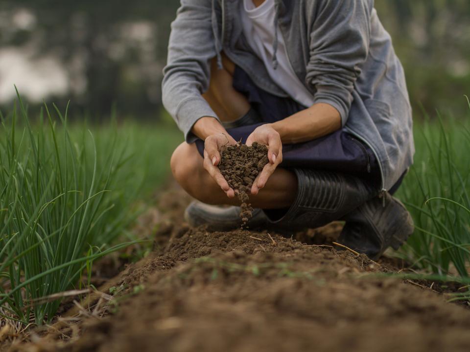 Фото: istockphoto.com