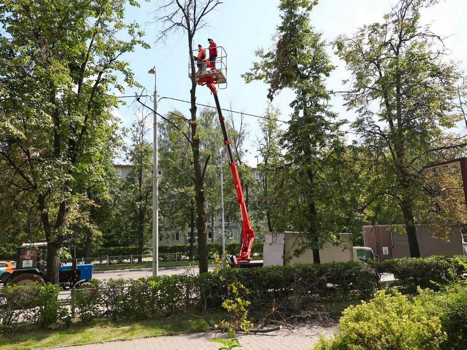 Фото: пресс-служба Администрации городского округа Мытищи