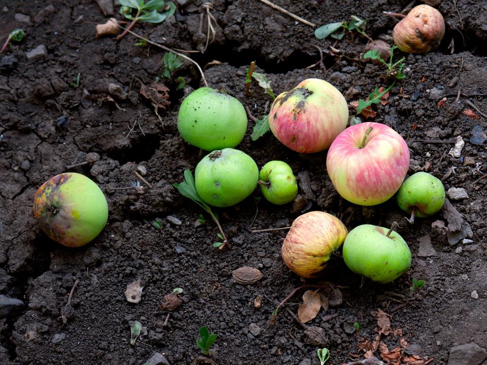 Фото: istockphoto.com