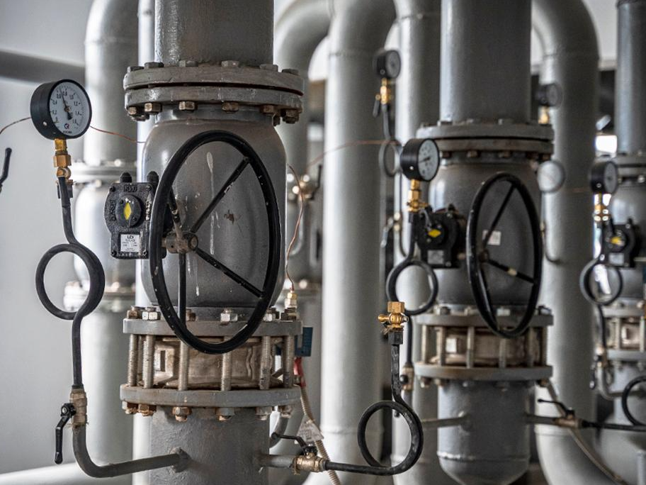 Фото: пресс-служба губернатора и правительства Московской области