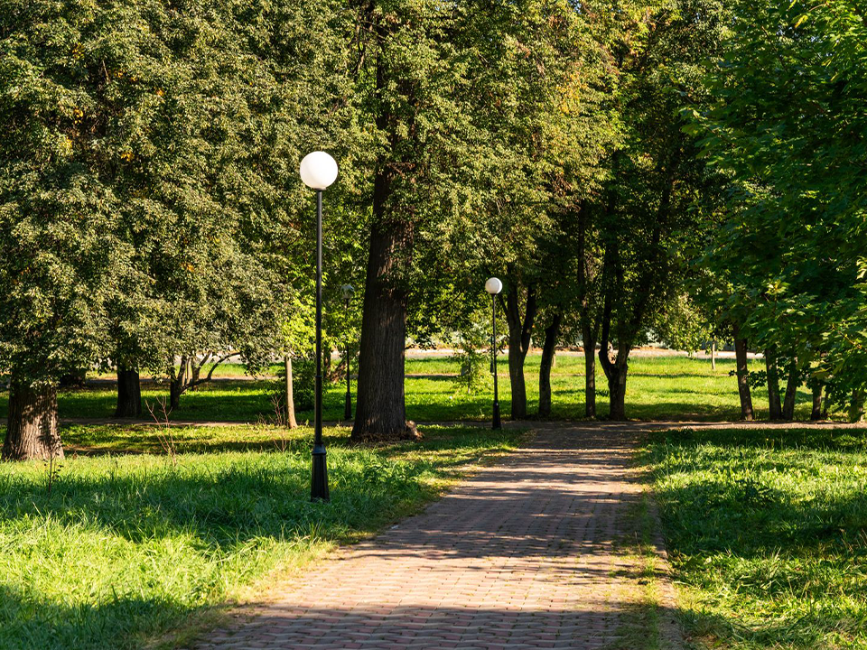 Фото: медиасток.рф
