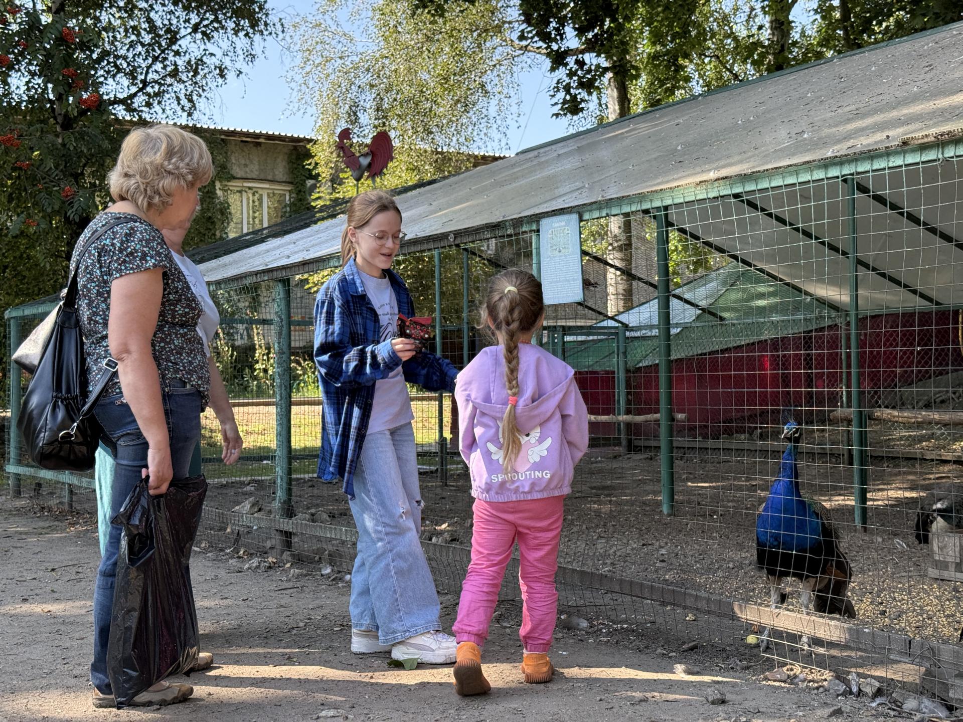 Фото: Ольга Стаферова