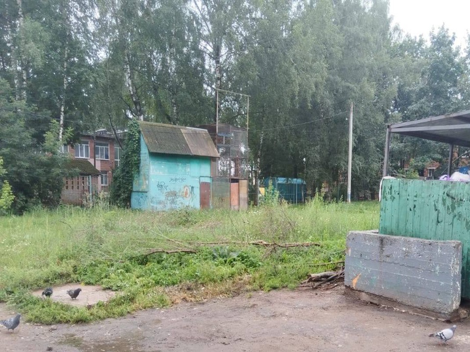 Фото: пресс-служба администрации г.о. Солнечногорск