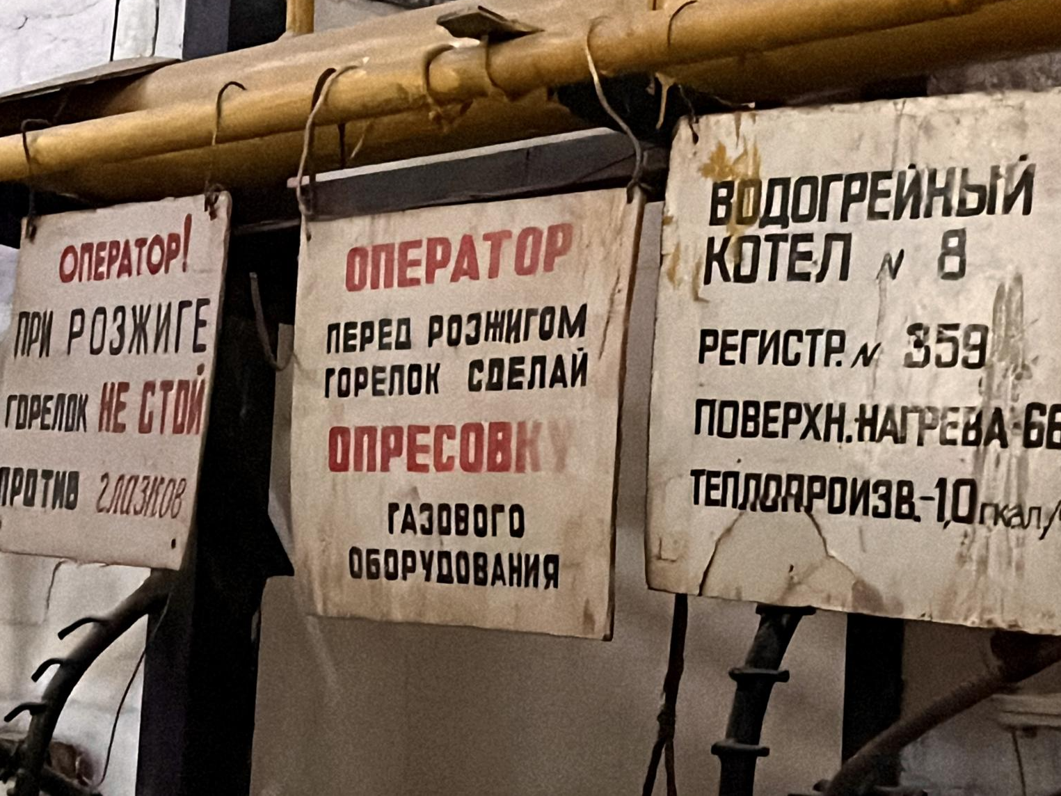 Фото: Анна Тюрюмина        
