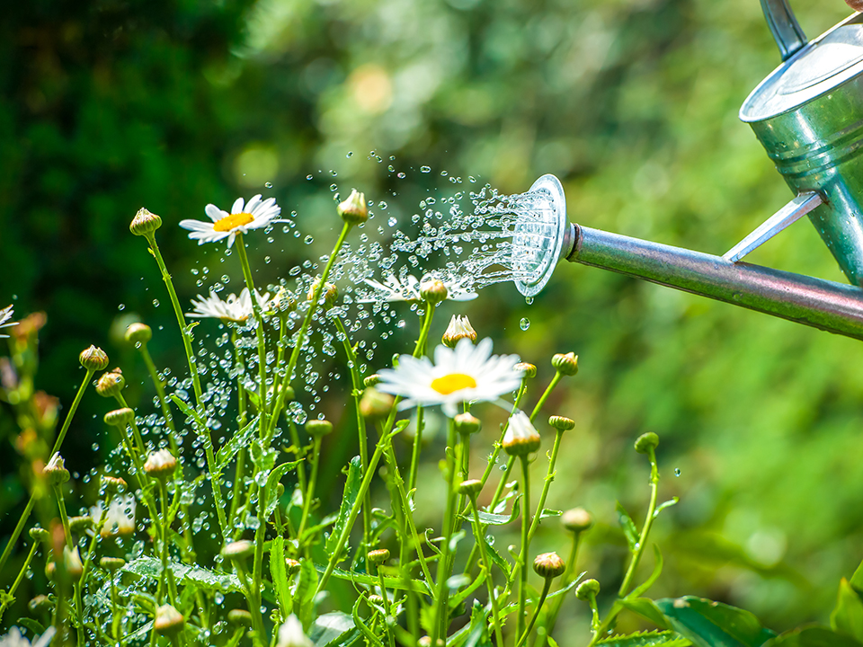 Фото: istockphoto.com