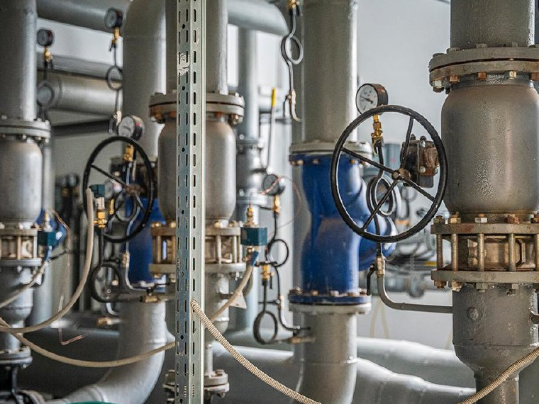 Фото: пресс-служба губернатора и правительства Московской области