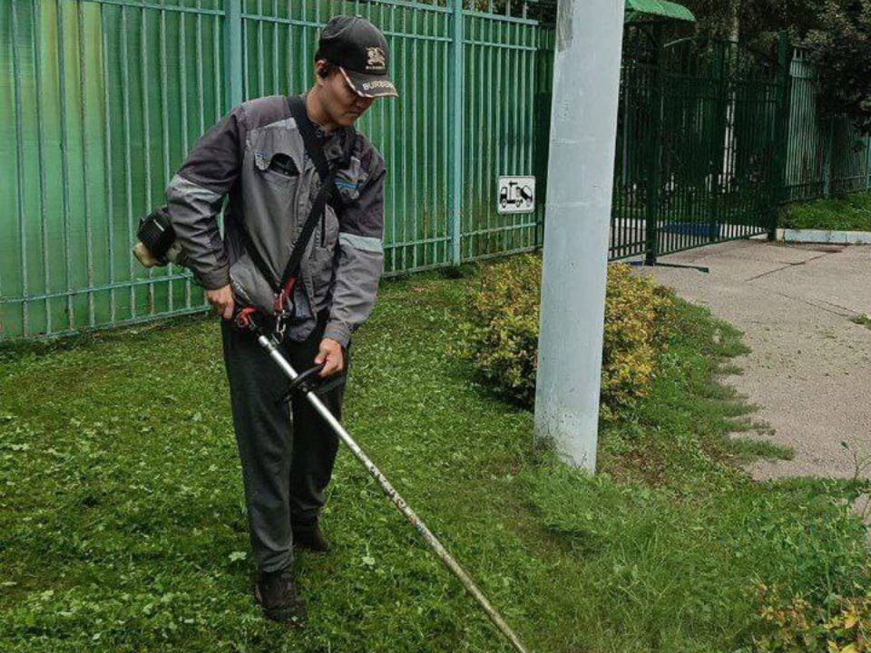 Фото: пресс-служба администрации г.о. Красногорск