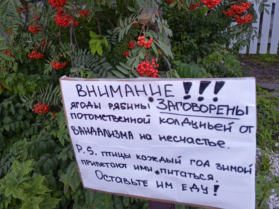 Фото:vk/com.Подслушано Павловский Посад
