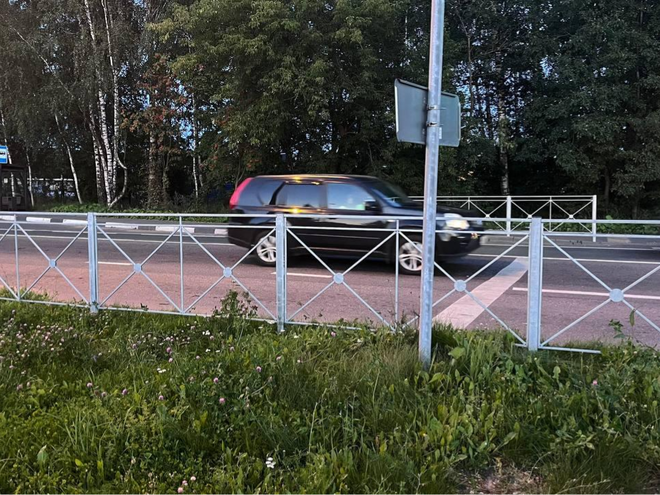 Фото: пресс-служба администрации г.о. Долгопрудный