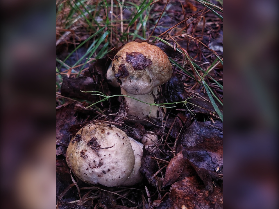 Фото: Василий Потапов