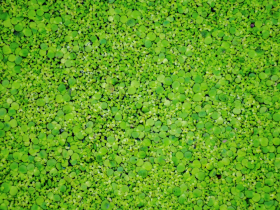 Фото: freepik.com