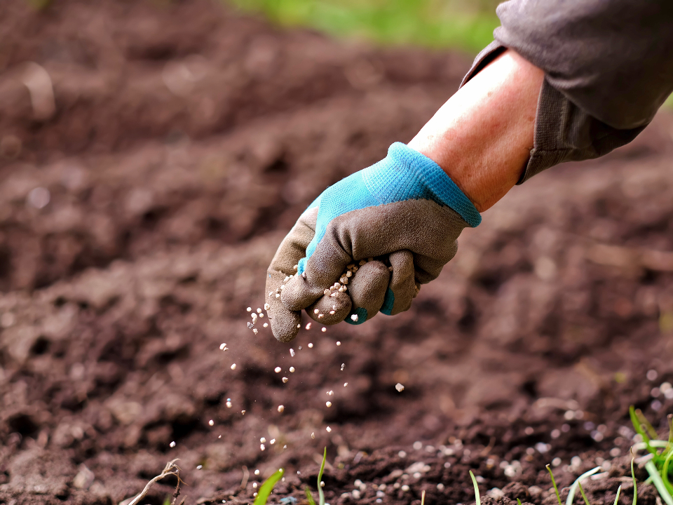 Фото: istockphoto.com