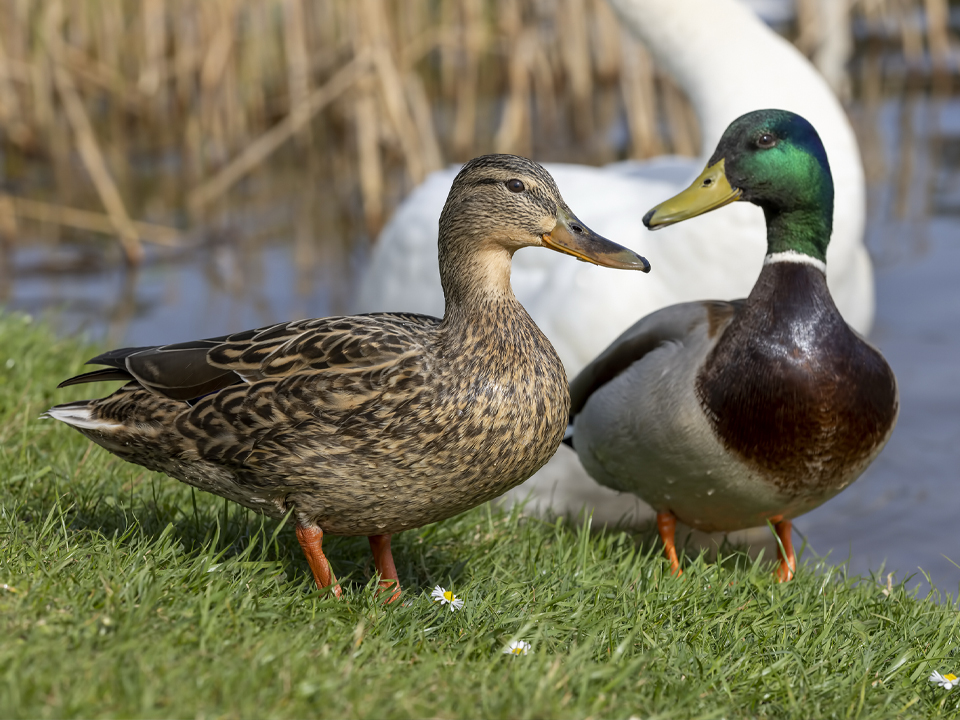 Фото: istockphoto.com