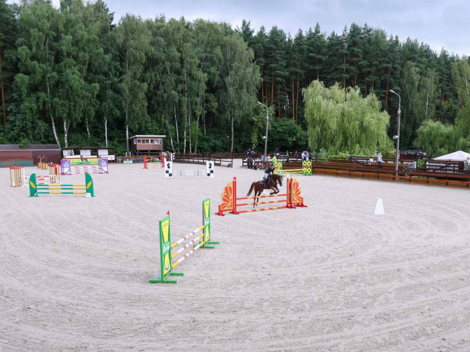 Фото: пресс-служба администрации г.о. Подольск