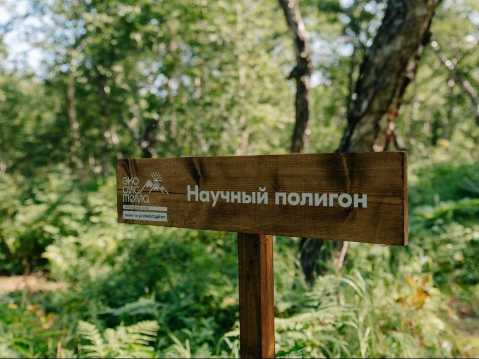 Фото: Комитет лесного хозяйства МО
