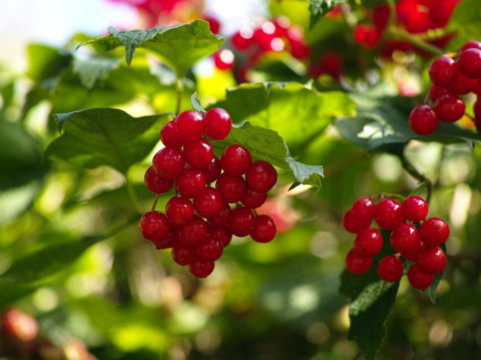 Фото: istockphoto.com