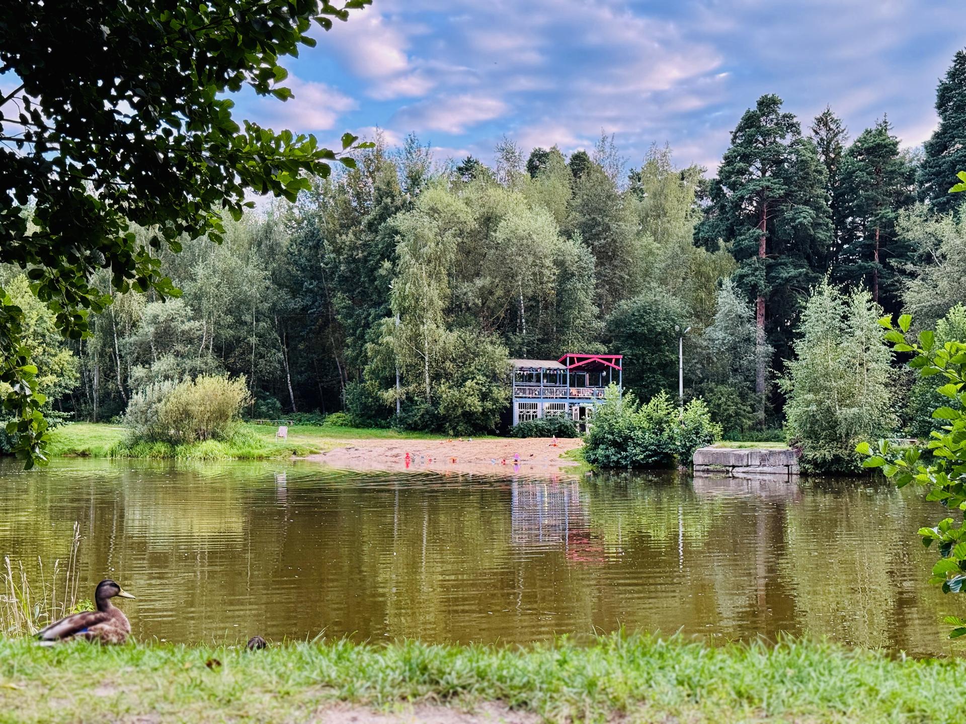 Фото: Ольга Стаферова