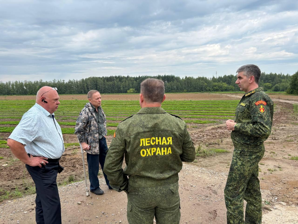 Фото: Комитет лесного хозяйства Московской области