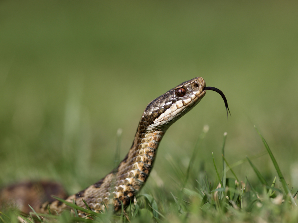 Фото: istockphoto.com