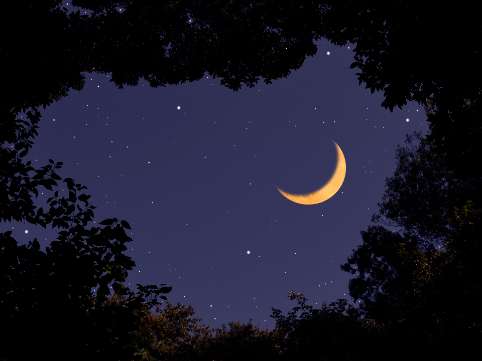 Фото: istockphoto.com/kyoshino