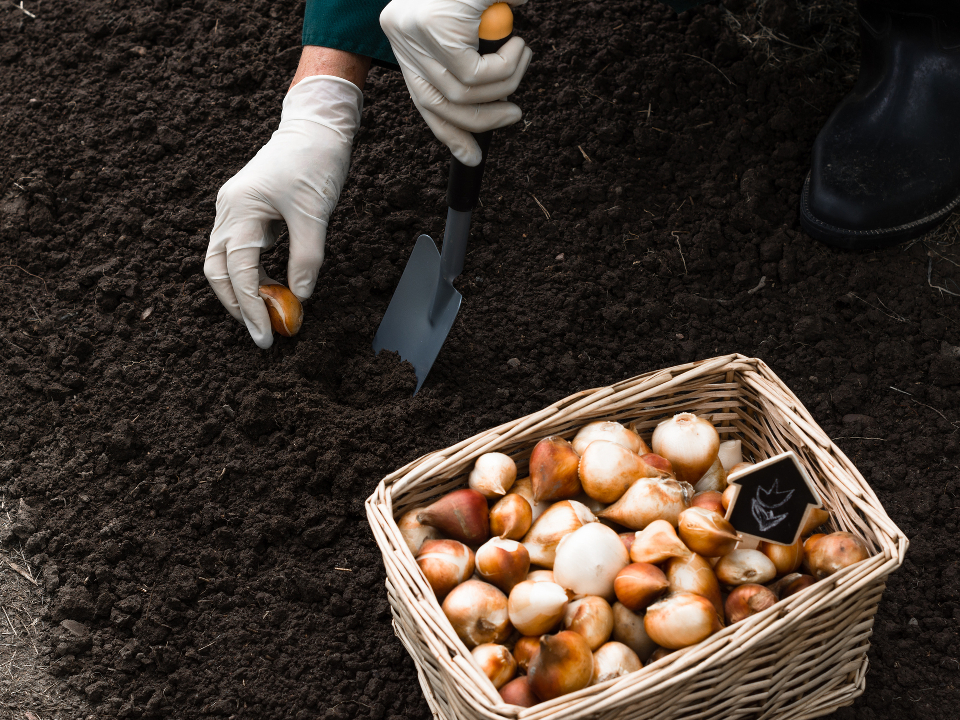 Фото: istockphoto.com/Jurgute