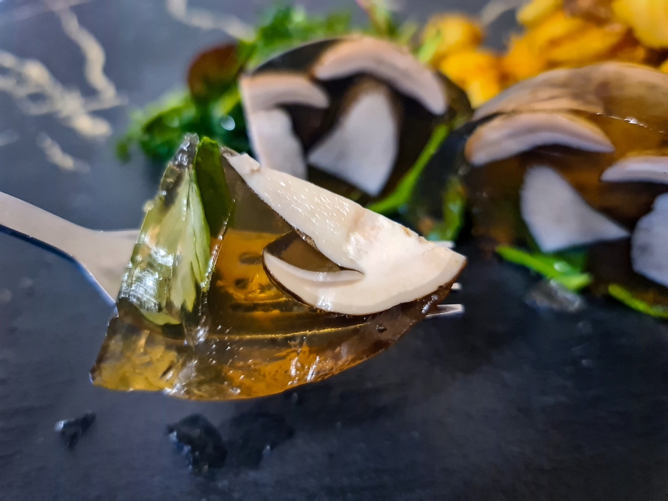 t.me/breath_of_the_forest1